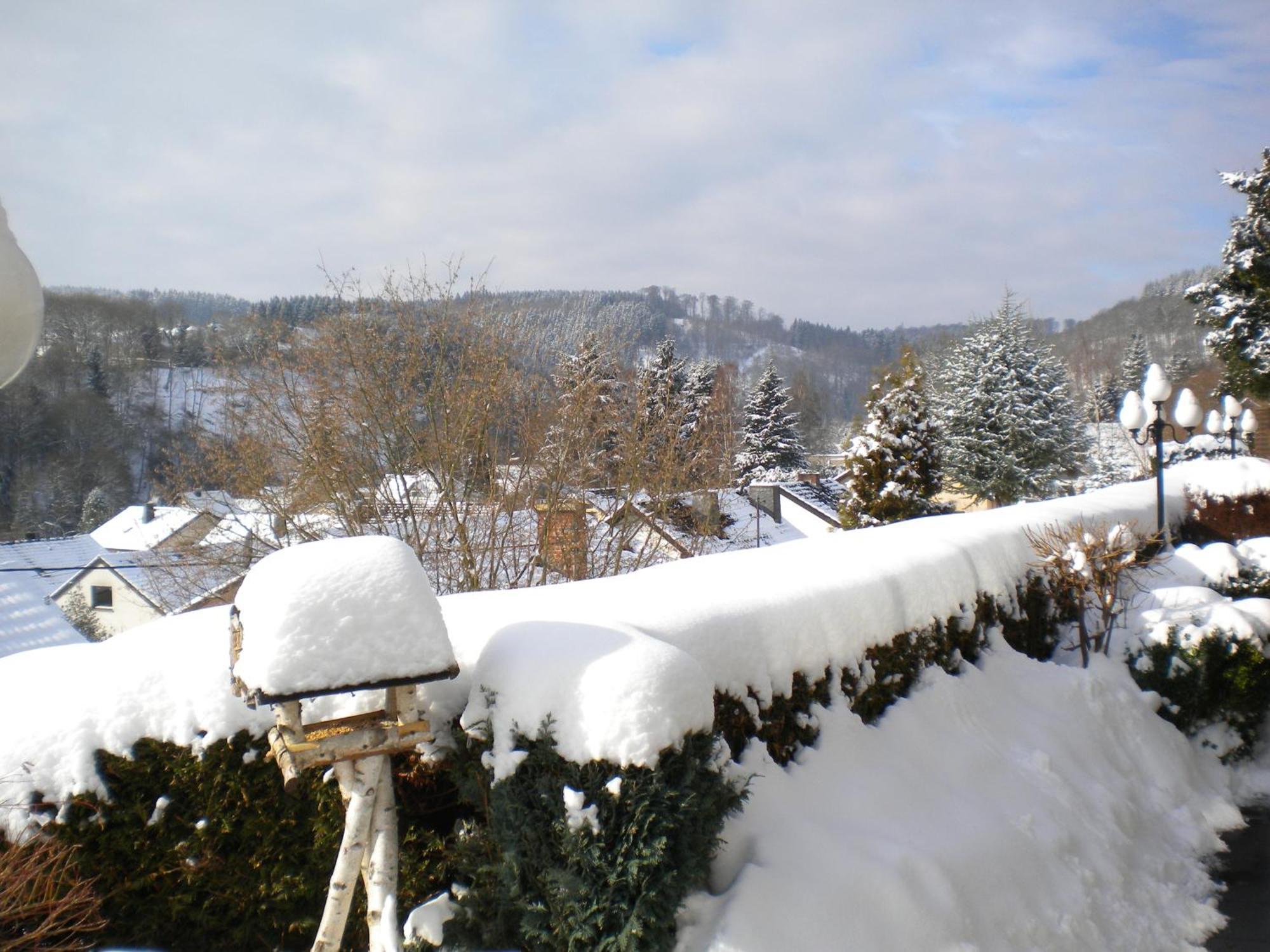 Hotel Pension Haus Berghof Hellenthal Extérieur photo